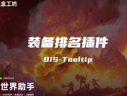 怀旧服插件分享---装备排名插件-BiS-Tooltip #魔兽世界怀旧服 #巫妖王之怒 #发现江夏