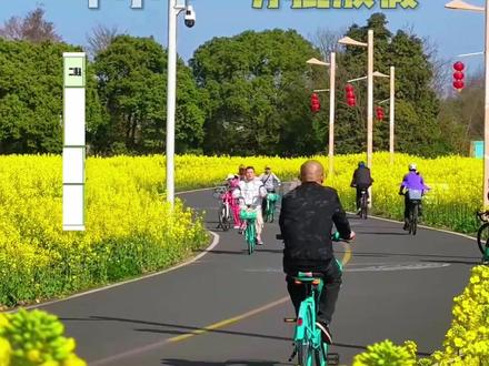 成都中小学春假时间定了! 目前部分区域已通知春假时间,与清明连休,家长们你们准备好出行计划了吗#春假 #成都 #清明节 #中小学