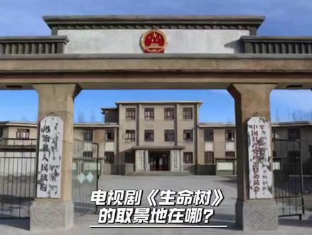 电视剧《生命树》的取景地在哪?