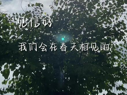 见信好,我们会在春天相见的。 ——知名不具 #见春天