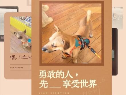 2025回忆录教程邪修版 #剪小映 #开启我的2025时光电影 #剪辑教程 #2025回忆录 #日常碎片