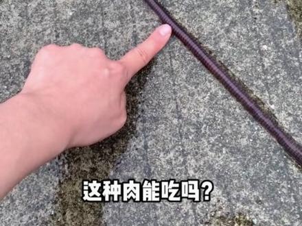 这种肉能吃吗? #科普#科普一下#内容启发搜索#肉