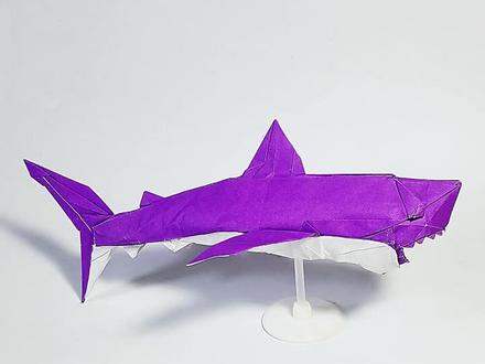 你喜欢哪个 #折纸鲨鱼? #暑期知识大作战