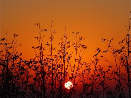 📍栖霞山看日出vlog🌅🌄
#日出 #治愈 #栖霞山