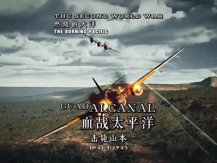 太平洋战争,击毙山本五十六 #二战纪录片 #战争历史片