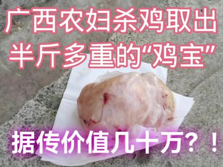 农妇杀鸡取出半斤多重的“鸡宝”,有人说“要发财了”,真的吗?