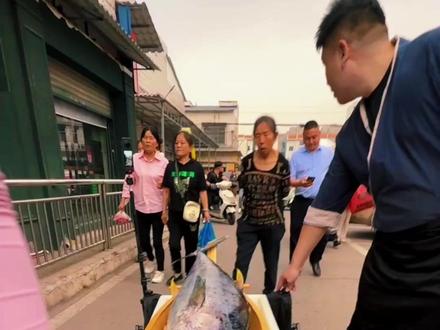 南海钓的35斤黄鳍金枪,在长沙的菜市场能卖多少钱?#鱼贩子格小格