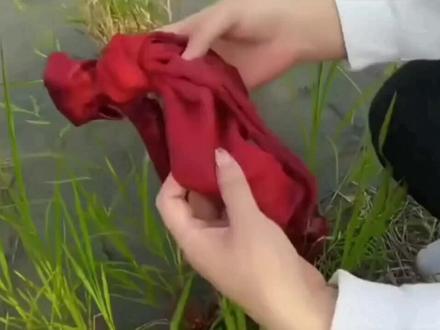 #重返狼群 格林最后对妈妈说:这根红腰带有妈妈身上的温度,妈妈,你救了我,遇见你是我这辈子最大的幸运,妈妈,我知道你来看我了,可是人类杀了我的孩子,我不能和你相见,妈妈,你再次救了我的孩子,可他们还是又被人类杀死了,我该怎么办,妈妈,我在孩子的墓地看到你给我留的大白兔奶糖了,我吃了,还是小时候的味道,妈妈,我知道你在小房子等我,我给你带了很多我自己狩猎的猎物在你取水的地方,妈妈,你的红腰带我珍藏了7年,你又来看我了,我把红腰带洗干净还给你吧,也不知道下次能否看见你,妈妈,我给我的妻子讲过我们的故事,妈妈,其实我很想回您身边,其实我又很不想回,其实,我真的很想你……