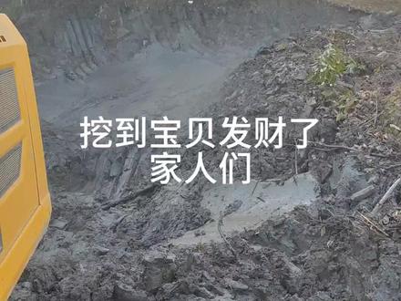 开挖机十几年今天终于碰到宝贝了