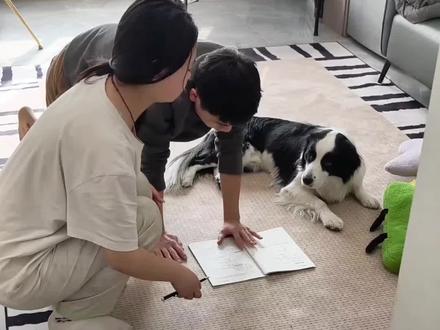 姐姐学的不如狗,姑姑教的也不如狗……#耀祖不是边牧 #狗子的日常 #我和宠物日常 #萌宠出道计划 #不养狗不知道养狗的乐趣