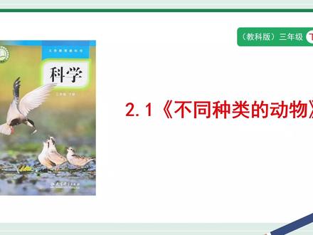 教科版科学三年级下册2.1《不同种类的动物》PPT,获取方法看主页或置顶