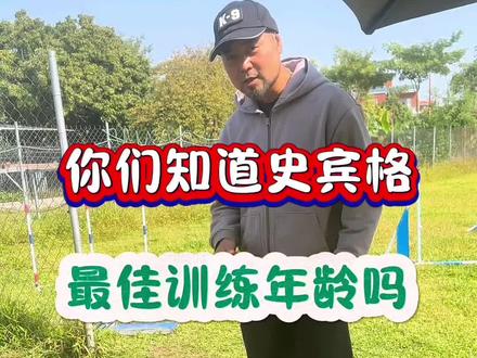 你家史宾格听话吗#史宾格#广州训犬