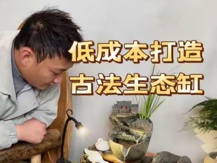 自己动手,造一口古法生态鱼缸#古法生态造景 #古法养鱼 #古法流水缸#威风开工季
