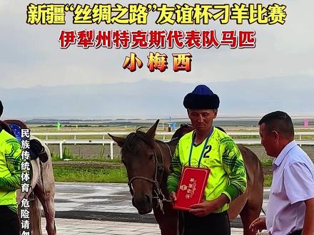 伊犁州特克斯县代表队的优秀马匹小梅西 #马背上的民族 #叼羊