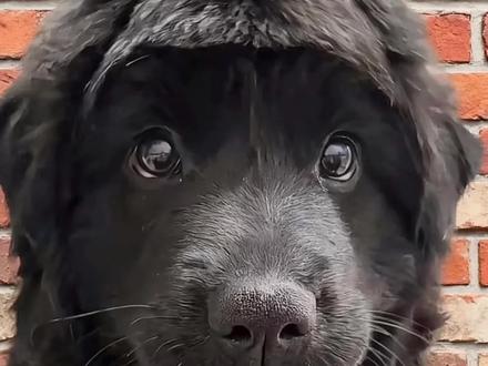 三招教你赛博变帅#赛博 #豆包 #男生变帅成本有多低 #男生必看 #变帅