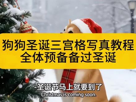 狗狗圣诞三宫格写真ai指令教程 #豆包ai #豆包P图已经nextlevel了#全体预备备过圣诞#狗狗三宫格