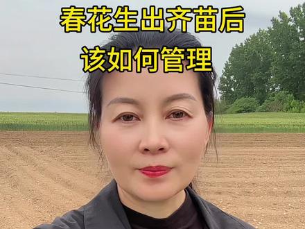 花生出齐苗后怎样管理才能分枝多,开花多,下针多,希望视频对您有所帮助#春花生种植管理 #农业种植技术分享 #三农知识科普 #农业技术推广 #周庄农资