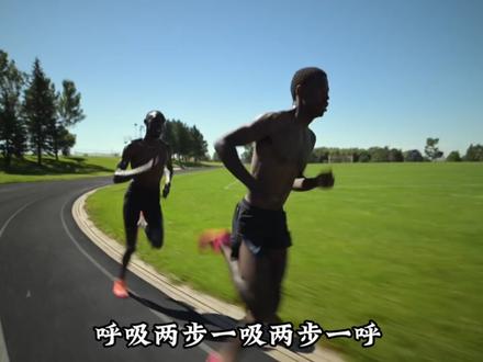 男生身体素质合格标准,你能完成几个?#健身 #身体素质 #引体向上 #俯卧撑 #健身干货