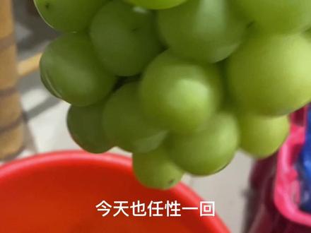 用脚踩出来的阳光玫瑰葡萄酒你敢喝吗🤭