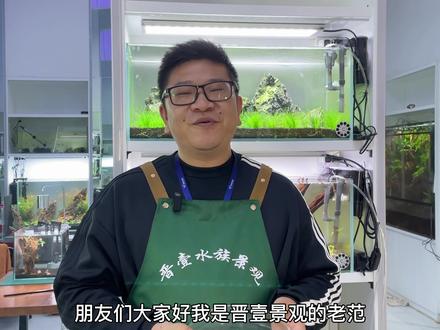 为什么不建议你们用小型圆缸养鱼#鱼缸造景 #养鱼日记 #观赏鱼 #圆缸 @DOU+小助手