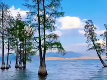 #上热门 宇宙草《心绪》完整版~我想要的只是你在我身边 #心绪 #宇宙草 #热门音乐🔥 #音乐分享