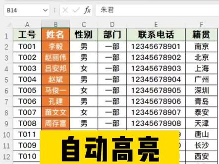 设置自动高亮显示标记行和列#excel #excel技巧 #条件格式