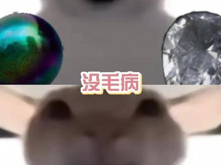 现在变成捡破烂了#三角洲玩家#搞笑 #三角洲行动