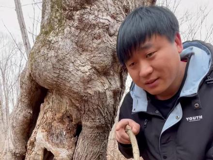 小松鼠这辈子都想不到,自己的仓库被一个帅气的男人发现了,冬季还要给它送好吃的!#我的农村生活 #新农人计划2022 #疫情下的春日来信