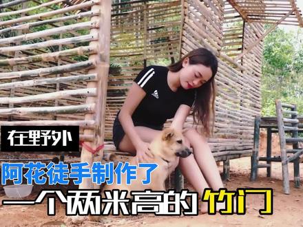 在野外,阿花徒手制作了,一个两米高的竹门 #原始技术 #野外建造 #小院改造 #荒野建造 #野外生存