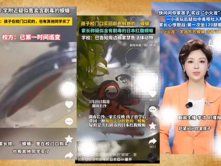 最近报道了一期新闻,说学校门口售卖的蝾螈疑似日本红腹蝾螈,还带有剧毒是真是假? 日本红腹蝾螈辟谣#科普#东方蝾螈 #爬宠 #动物 #小火龙