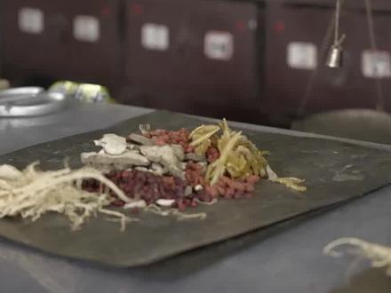 中国明朝就用青霉素治病了,竟然比西方早了五六百年!#中医 #明朝