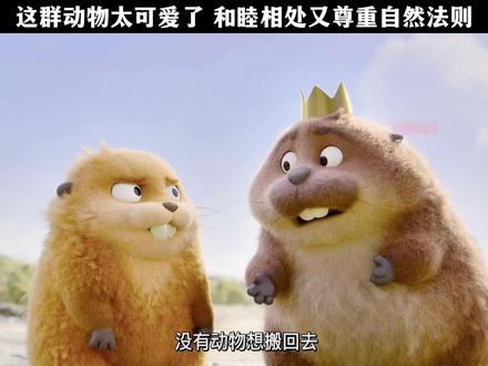 这群动物太可爱了 和睦相处又尊重自然法则 #河狸变身计划