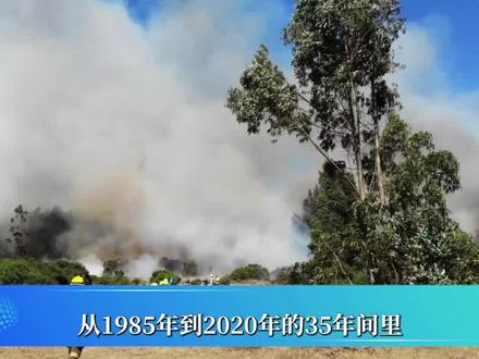 过度砍伐就是在自取灭亡,你将在一分钟内失去全世界! #地球 #火山喷发 #生态环境 #保护地球