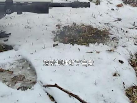 SV-98全称M1998狙击步枪,是一款由俄罗斯联邦枪械设计师弗拉基米尔·斯特隆斯基研制、伊茨玛希工厂生产的栓动式狙击步枪,使用标准型7.62×54mmR、7.62×51mm NATO弹及.338拉普麦格农等三种弹药。其于2003年起被俄罗斯特种部队纳入7.62毫米“6S11狙击系统”起用,该系统包括步枪本体和7N14狙击增强型穿甲弹#科普