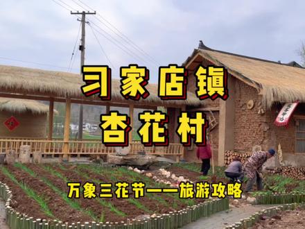 习家店镇杏花村旅游攻略#习家店镇三花节#宣传家乡旅游文化 #乡村旅游景点 @DOU+小助手