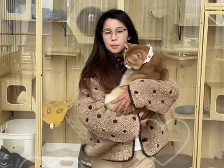 猫咪噶蛋后不用慌