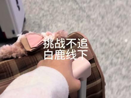 挑战不追白鹿线下#白鹿 #线下 #跑男 #横店 #追星