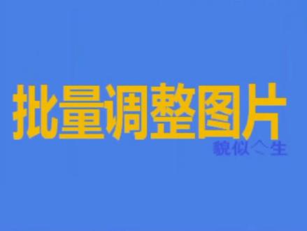 WPS文字编辑小技巧:批量调整图片