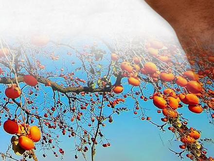 屏幕前的女人,真的不容易#正能量传递 #每日分享#硬笔手写#女人不易#感悟分享