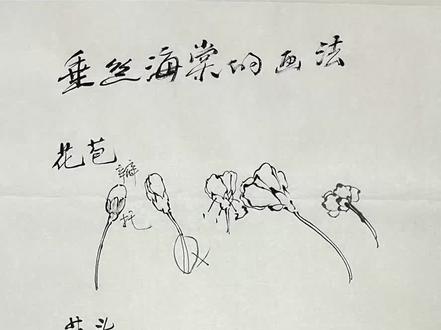 垂丝海棠花技法步骤图#写意花鸟 #国画教程 #花鸟画 #国画教学