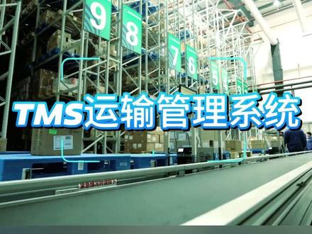 TMS运输管理系统!! #tms #智能仓储 #医药仓储 #物流采购