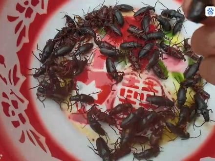 冒雨捡水牛,吃的嘎嘣脆#吃货的世界唯有美食不可辜负 #有灵魂的美食 #快来一起尝个鲜 #真材实料才能做出好味道 #新鲜食材让您吃得放心