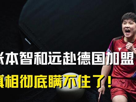 全网疯传张本智和远赴德国加盟,真相彻底瞒不住了 #张本智和 #乒乓球 #体育 #张本美和 #热点