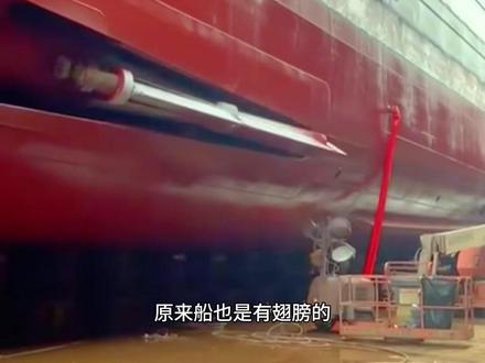 原来船也是有翅膀的 #减摇鳍 #巨轮 #科普一下