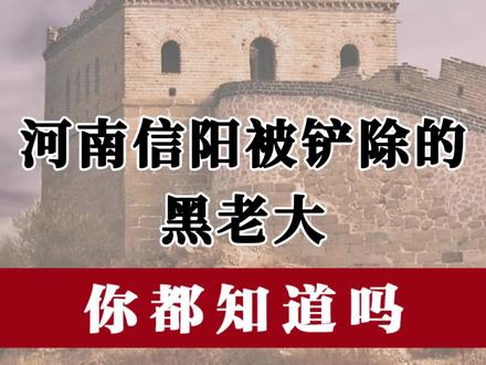 河南信阳被铲除的黑老大 #信阳 #黑老大 #扫黑除恶