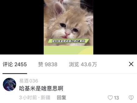 #哈基米 哈基米的意思我个人了解的是这样哒~
