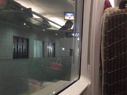 首次解锁哈局非统CRH380BG
G708 哈尔滨西-大连北
哈尔滨局CRH380G-5635
由哈尔滨局牡丹江客运段担当客运任务
#哈尔滨局集团公司 #CRH380G #沈阳北站 #铁路摄影 #交通强国铁路先行