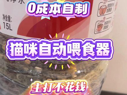 0成本💰自制的猫咪喂食器怎么样#猫咪自动喂食器