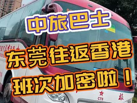 东莞班次加密!去香港又快一步啦#旅行推荐官#香港入境#中旅巴士