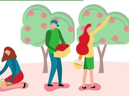 零代码轻松入门计算机视觉-训练模型 #EasyDL #人工智能 #计算机视觉 #模型训练